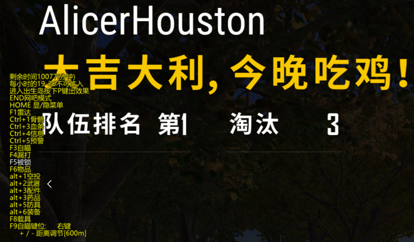 PUBG【LD】全功能版